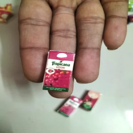 Tropicana Litchi miniature collectible bottle – miniatureartz.com