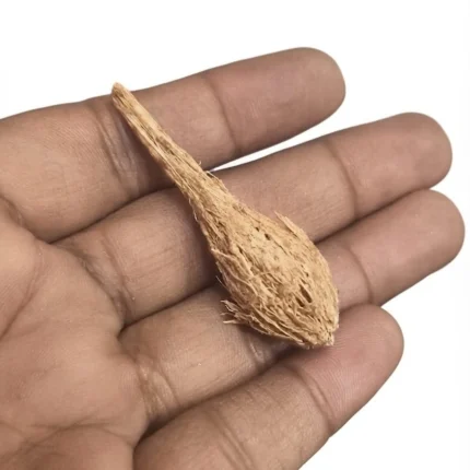 Highly detailed miniature coconut figurine product, perfect for realistic tropical touch in dollhouses, dioramas.