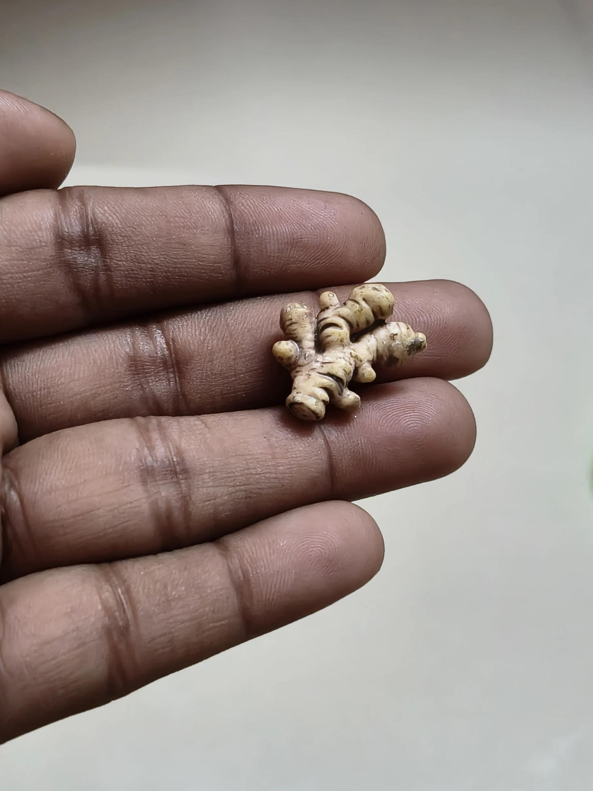 Miniature-fruits-and-vegetables-26 This handcrafted ginger root miniature product adds authentic detail to any tiny food collection or scene.